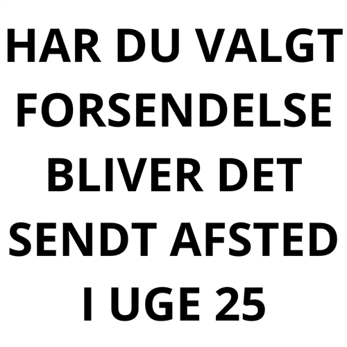 SGIF Fodboldcamp 2025 